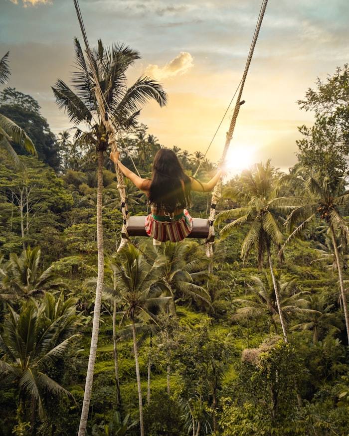 Above Ubud